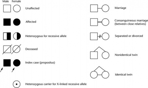 pedigree-the-school-of-biomedical-sciences-wiki