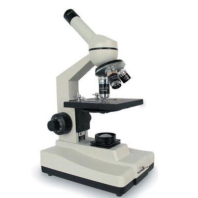 What Is The Maximum Magnification Power Of A Light Microscope ...