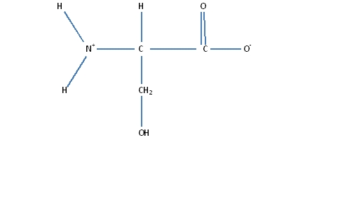 lewis structure of serine