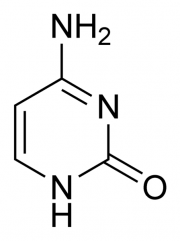 Cytosine-chemical-structure.png