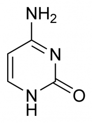 cytosine structure