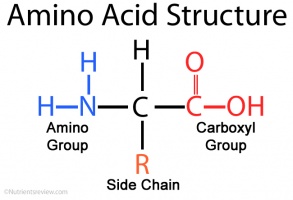 Mcat Amino Acid Chart